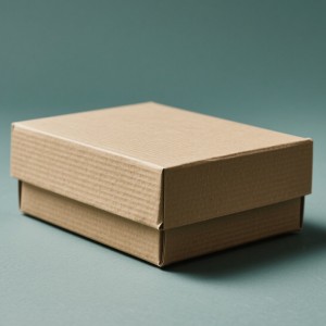 Nondik eraman ditzaket kartoizko kaxak nire ondoan: